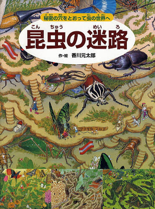 楽天市場 昆虫の迷路 秘密の穴をとおって虫の世界へ 香川元太郎 小野展嗣 3000円以上送料無料 Bookfan 1号店 楽天市場店