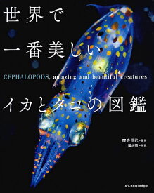 世界で一番美しいイカとタコの図鑑／窪寺恒己【3000円以上送料無料】