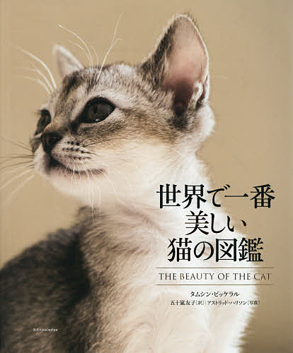 世界で一番美しい猫の図鑑 物品 タムシン ピッケラル 五十嵐友子 3000円以上送料無料 アストリッド 高い素材 ハリソン
