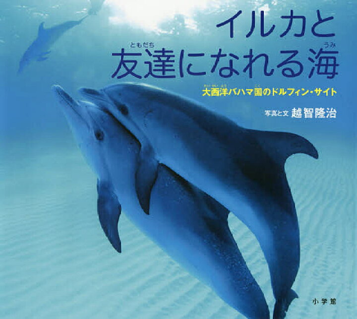 楽天市場 小学館の図鑑neoの科学絵本 イルカと友達になれる海 大西洋バハマ国のドルフィン サイト 越智隆治 3000円以上送料無料 Bookfan 1号店 楽天市場店