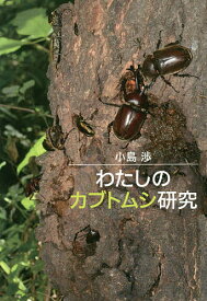 わたしのカブトムシ研究／小島渉【3000円以上送料無料】