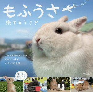 写真集 雑誌 うさぎ 本の人気商品 通販 価格比較 価格 Com