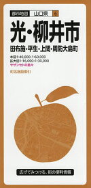 光・柳井市 田布施・平生・上関・周防大島町【3000円以上送料無料】