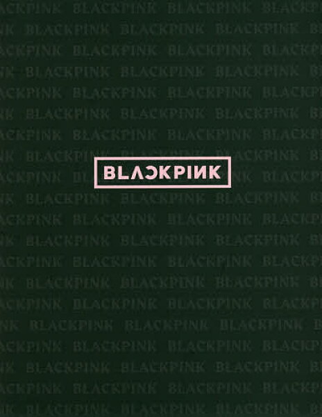 【3千円以上送料無料】BLACKPINK BLACKPINK公式PHOTO BOOK／ＫＩＭＨＥＥＪＵＮＥ