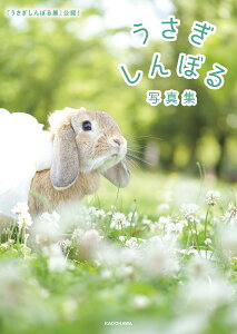 写真集 雑誌 うさぎ 本の人気商品 通販 価格比較 価格 Com