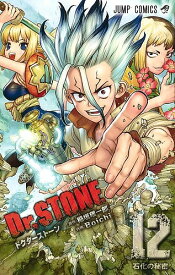 Dr.STONE 12／稲垣理一郎／Boichi【3000円以上送料無料】