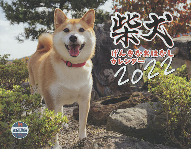 ’２２ 柴犬げんきなおはなしカレンダー 推奨 3000円以上送料無料 流行のアイテム