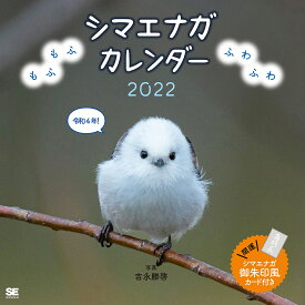 楽天市場 シマエナガ カレンダーの通販