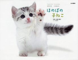 楽天市場 ほのぼの子猫 カレンダーの通販