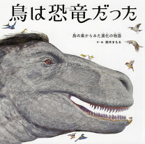 楽天市場】恐竜 進化の通販