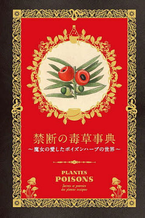 倉庫 植物の神秘生活 緑の賢者たちの新しい博物誌 ピーター トムプキンズ クリストファー バード 新井昭広 枯木ワンダーランド 枯死木がつなぐ虫・菌・動物と森林生態系/深澤遊
