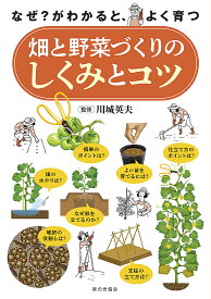 畑と野菜づくりのしくみとコツ なぜ?がわかると、よく育つ／川城英夫【3000円以上送料無料】