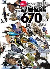 ♪鳥くんの比べて識別!野鳥図鑑670／永井真人／茂田良光【3000円以上送料無料】