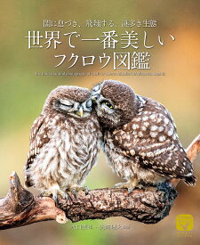 世界で一番美しいフクロウ図鑑 闇に息づき、飛翔する、謎多き生態／水口博也／先崎理之【3000円以上送料無料】