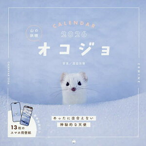 �R�̗d���I�R�W��CALENDAR2026�y3000�~�ȏ㑗�������z