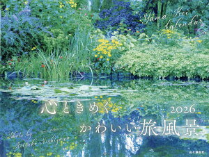 2026J_[SƂ߂킢y3000~ȏ㑗z