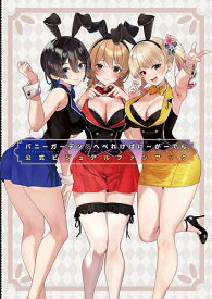 【3千円以上送料無料】バニーガーデン&へべれけばにーがーでん公式ビジュアルファンブック／ゲーム
