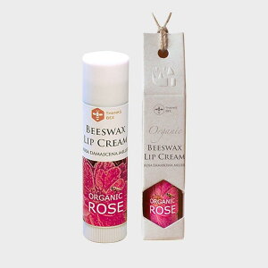 Chc[ r[YbNX bvN[ [Y 5mlbVR~cE ێbv o[ i` Y ΍ Mtg v[gɂ