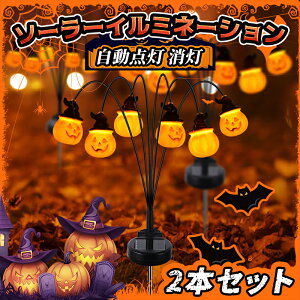 y2{Zbg zK[fCg C~l[VCg nEB   ^ LED Cg ڂ \[[ O h J{` halloween _  ȃGl   