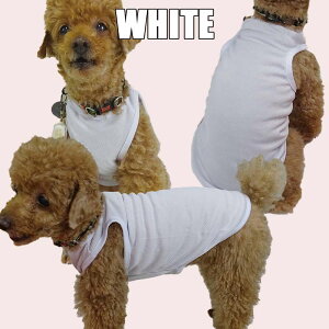 ̖ꂪo郏p 싅`[ p bV^NgbvIW[[O`[/`[S/싅`[/fRs TVc  ^`^ XS~2XL 7FWJ