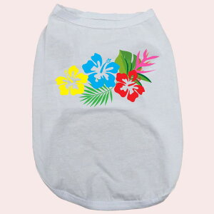 p pRbg^Ngbv@ynCrXJX1zT[t  ^`^ 2XL`5XL 8FWJ [֑ yԕiAALZsz