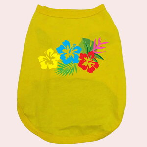 p pRbg^Ngbv@ynCrXJX1zT[t  ^`^ 2XL`5XL 8FWJ [֑ yԕiAALZsz