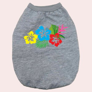 p pRbg^Ngbv@ynCrXJX1zT[t  ^`^ 2XL`5XL 8FWJ [֑ yԕiAALZsz