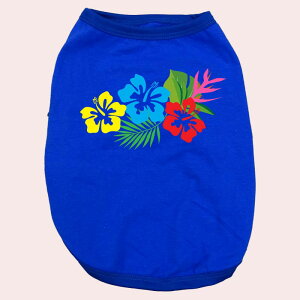 p pRbg^Ngbv@ynCrXJX1zT[t  ^`^ S`XL 8FWJ [֑ yԕiAALZsz