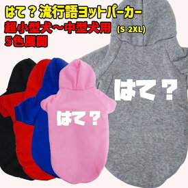 はて？ 流行語プリント ポリエステルヨットパーカー！犬服 ドッグウェア 犬用 ワンちゃん用 超小型犬〜中型犬 S-2X 5色展開 メール便送料無料 【返品、交換、キャンセル不可】