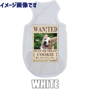 ̖ꁕʐ^vg yWAN!TEDz wz WANTED pfB[ pbV^Ngbv vg hbOEFA ƐeqR[f ^`^ 7FWJ D 낢 tV