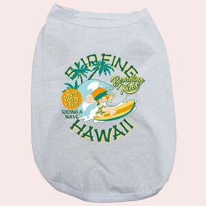p SURFING HAWAII pRbg^NgbvI  ^`^ 2XL`5XL 8FWJ WANS PRINT/YvgyԕiAALZsz