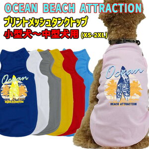 pvgbV^Ngbv yOCEAN BEACH ATTRACTIONzT[t  WANS PRINT/Yvg ^`^p XS~2XL yԕisz