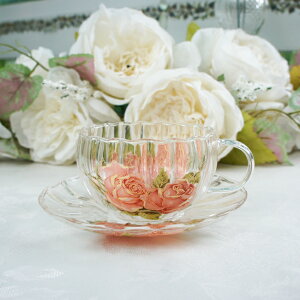 S[h[Y ϔMKX[Jbv\[T[[Y@NVJ@eB[JbveB[^C@eB[EFA@H@ KNƃ[XƓVĝX KNG P o ΂