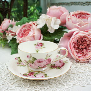 Ajo[T[[Y@j[{ eB[Jbv\[T[ KNƃ[XƓVĝX KNG P o [Y ΂ }`bN G e[uEFA H KNX