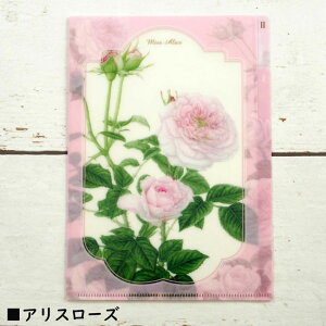 NAt@C A5TCY ~XAX sN[Y KN {