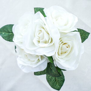 xxbg[Yu[P bh zCg  KN ԑ fBXvC