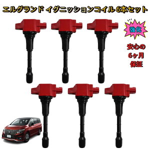 �_���[�^ ���Y �G���O�����h PE52 PNE52 �C�O�j�b�V�����R�C�� 6�{�Z�b�g �����^ �ۏؕt�� �����\ �R����� ���d���o�� �����݊��i �n�C�p���[ ��C ���� ���� �_�C���N�g�R�C�� �_�΃R�C�� �V