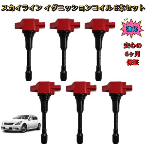 �_���[�^ ���Y �X�J�C���C�� V36 NV36 PV36 HV37 �C�O�j�b�V�����R�C�� 6�{�Z�b�g �����^ �ۏؕt�� �����\ �R����� ���d���o�� �����݊��i �n�C�p���[ ��C ���� ���� �_�C���N�g�R�C�� �_�΃R�C