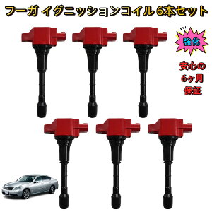 �_���[�^ ���Y �t�[�K Y50 PY50 Y51 HY51 �C�O�j�b�V�����R�C�� 6�{�Z�b�g �����^ �ۏؕt�� �����\ �R����� ���d���o�� �����݊��i �n�C�p���[ ��C ���� ���� �_�C���N�g�R�C�� �_�΃R�C�� �V�i 