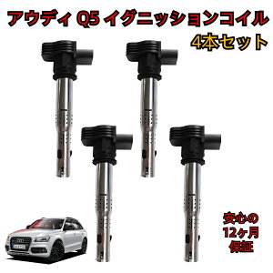 �_���[�^ �A�E�f�B Q5 8R �C�O�j�b�V�����R�C�� 4�{�Z�b�g ��C ���� �����^�C�v �_�΃R�C�� SET �V�i ���������i �ۏؕt�� 06F905115 / 06F905115A / 06F905115B / 06F905115C / 06F905115E / 06F905115F / 06H905115 / 06H9