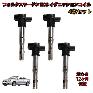 �_���[�^ �t�H���N�X���[�Q�� �C�I�X 1F7 1F8 �C�O�j�b�V�����R�C�� 4�{�Z�b�g EOS ��C ���� �����^�C�v �_�΃R�C�� SET �V�i ���������i �ۏؕt�� 06F905115 / 06F905115A / 06F905115B / 06F905115C / 06F905115E 