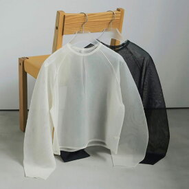 anuke アンヌーク Volumesleeve Sheer Knit ボリュームスリーブシアーニット レディース 春夏 ニット　トップス　ポリエステル　アイボリー　ブラック　FREE