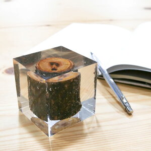 y11/1 0:00`11/1 23:59܂P10{zfBe[@DETAIL INC.@Resin With WOOD INSIDE(S)@3365S y[p[EFCg@jZbNX@@G݁@Mtg {[t[ BORN FREE