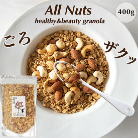お得用 グラノーラ 400g 単品 グルテンフリー アサイーボウル におすすめ 食物繊維 低GI オートミール グラノーラ オーガニック 有機 健康食 朝食 ダイエット 有機 ミックスナッツ プレゼント　アサイーボウル