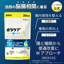 便通改善 乳酸菌 サプリ ビフィズス菌 腸活 プロバイオティクス 腸内環境 善玉菌 サプリメント プレバイオティクス 送…