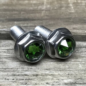 XeX΃NX^KX ϋv XtXL[ io[{g 2{