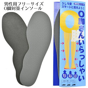 Or񂢂Ⴂ Or΍C\[ C\[ jp Or r ~ Ȃ am Y CpC\[ C V[Y R hL  v`v BOS