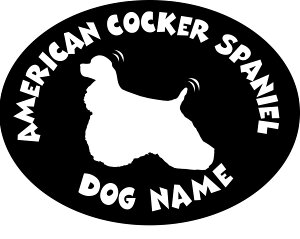 yXebJ[zAJRbJ[XpjG(STCY)