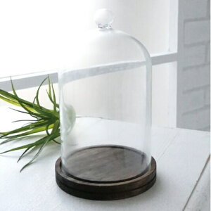 vWFNVh[ HX-27  DR6 COVENT GARDEN fBXvCh[ KXh[ KX IuWF u W  Ebh ؐ g AeB[N fBXvC G X Vbv Rx