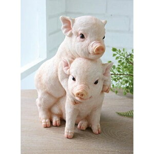 xCuEuU[X TS-17  CR3 COVENT GARDEN fBXvC  Aj} u^ pig  u  CeA RNV K[fjO CX^ IuWF AeB[N Rxg K[